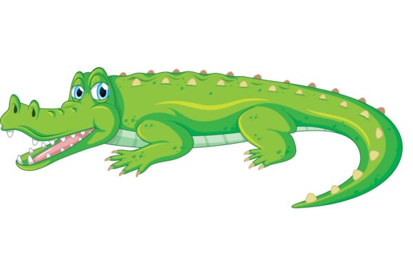 Se você já se perguntou quais números jogar no jogo do bicha?